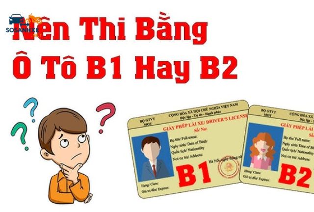 Thủ Tục Thi Bằng Lái Xe B1 và B2