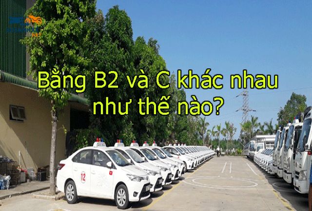 So Sánh Bằng Lái Xe B2 và C