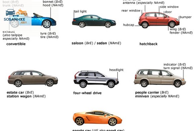Phân Loại Các Loại Xe Ô Tô Phổ Biến Hiện Nay