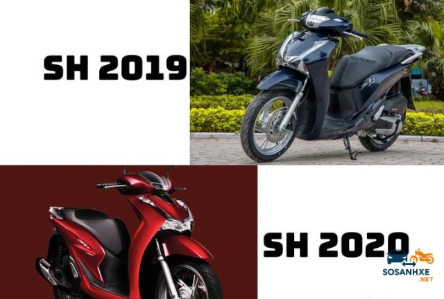 So sánh SH 2019 và 2020